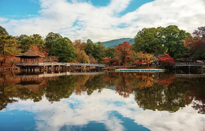 Framed Print : Blue rowing boats neatly docked in a clear reflecting pond, golden autumnal forest surroundings, Nara, Honshu, Japan Framed Print : Blue rowing boats neatly docked in a clear reflecting pond, golden autumnal forest surroundings, Nara, Honshu, Japan