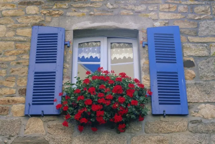 Framed Print : Blue shuttered windows and red flowers, Concarneau, Finistere, Brittany, France, Europe