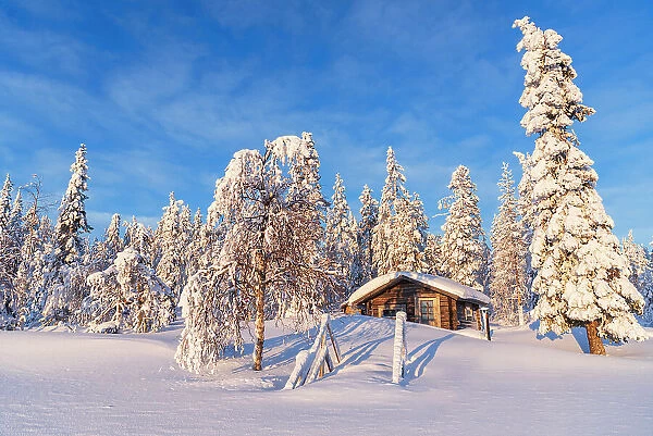 Blue sky over lone cottage among boreal forest covered with ice and snow, Kangos, Norrbotten, Swedish Lapland, Sweden, Scandinavia, Europe