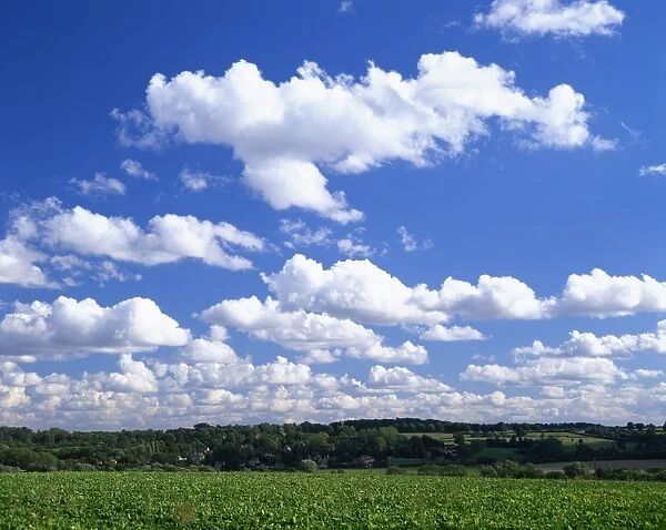 Blue sky with puffy white clouds over farmland in Lincolnshire, England