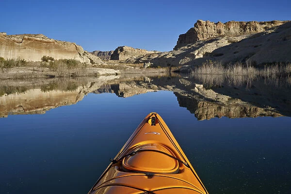 Bluff and stand of bushes reflected in Lake Powell from a kayak, Glen Canyon National
