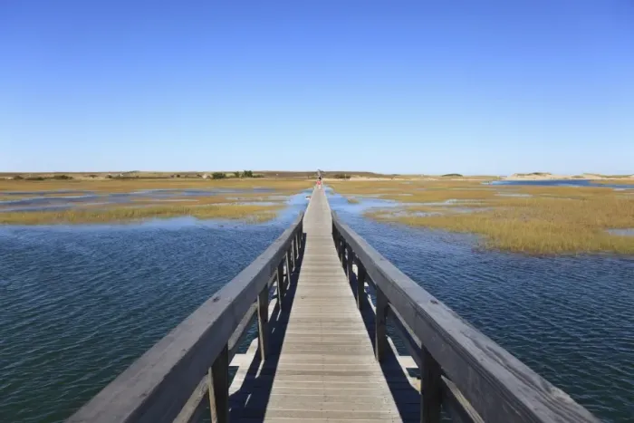 Framed Print : Boardwalk, Salt Marsh, Sandwich, Cape Cod, Massachusetts, New England, United States of America, North America Framed Print : Boardwalk, Salt Marsh, Sandwich, Cape Cod, Massachusetts, New England, United States of America, North America