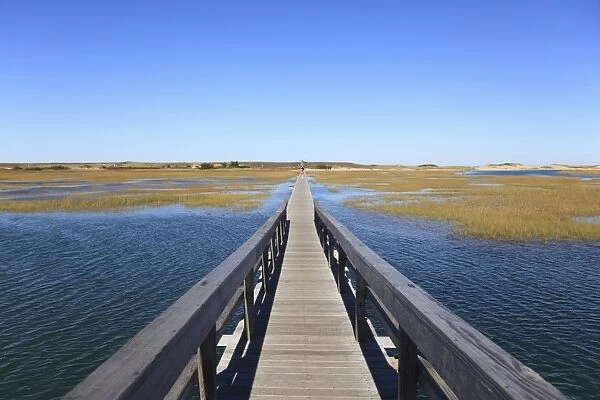 Boardwalk, Salt Marsh, Sandwich, Cape Cod, Massachusetts, New England, United States of America, North America