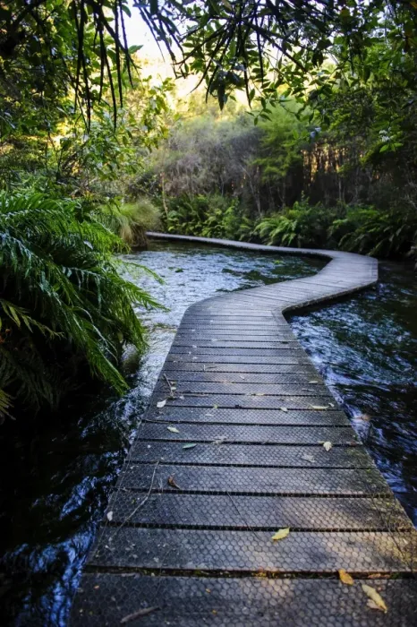 Framed Print : Boardwalk in Te Waikoropupu springs declared as clearest fresh water springs in the world, Takaka, Golden Bay, Tasman Region, South Island, New Zealand, Pacific Framed Print : Boardwalk in Te Waikoropupu springs declared as clearest fresh water springs in the world, Takaka, Golden Bay, Tasman Region, South Island, New Zealand, Pacific