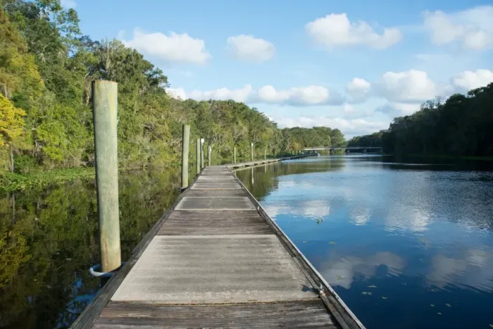 Framed Print : Boardwalk along Wades Creek, near St. Augustine, Florida, United States of America Framed Print : Boardwalk along Wades Creek, near St. Augustine, Florida, United States of America