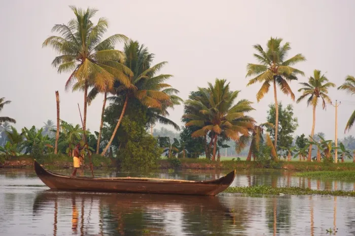 Framed Print : Boat on the backwaters, Allepey, Kerala, India, Asia Framed Print : Boat on the backwaters, Allepey, Kerala, India, Asia