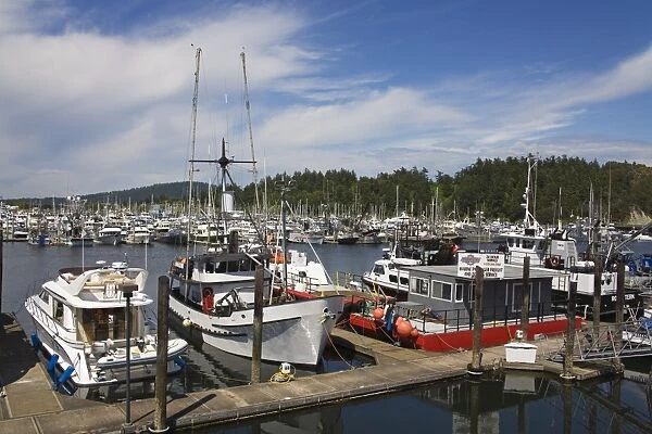 Boat Marina, Anacortes Port, Washington State, United States of America, North America