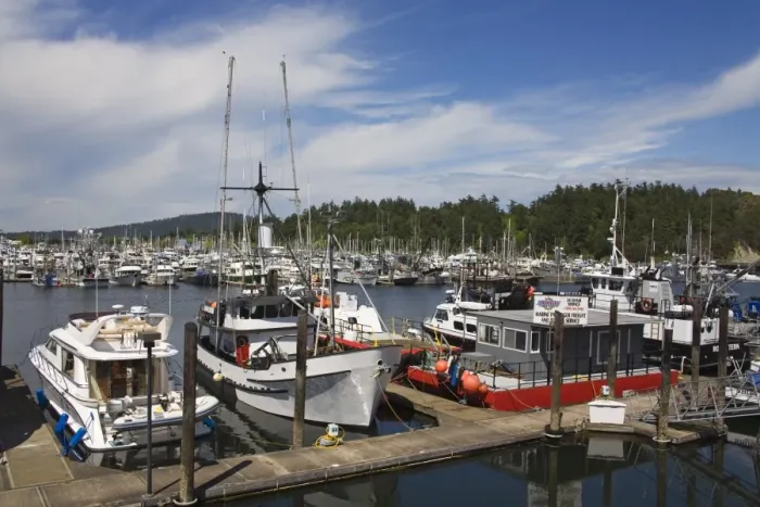 Framed Print : Boat Marina, Anacortes Port, Washington State, United States of America, North America Framed Print : Boat Marina, Anacortes Port, Washington State, United States of America, North America