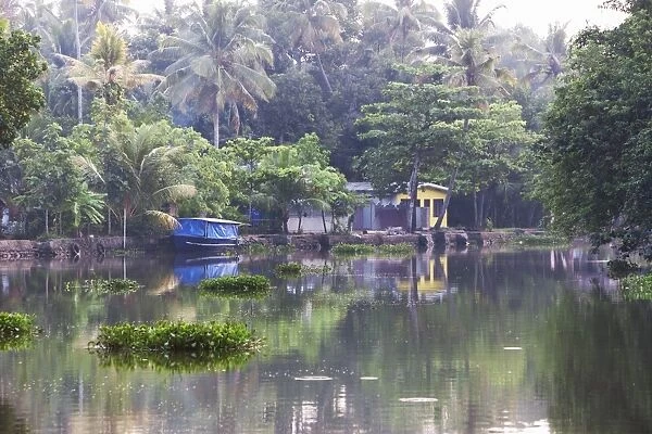 Boat moored on the still Kerala Backwaters, Kerala, India, Asia