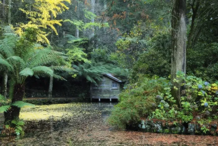 Framed Print : The boathouse, Alfred Nicholas Gardens, Dandenong Ranges, Victoria, Australia, Pacific Framed Print : The boathouse, Alfred Nicholas Gardens, Dandenong Ranges, Victoria, Australia, Pacific