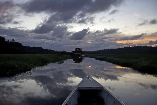 Boating and observing fauna and flora in the everglade area of Kaw, and floating lodge of the marsh in background, French Guiana