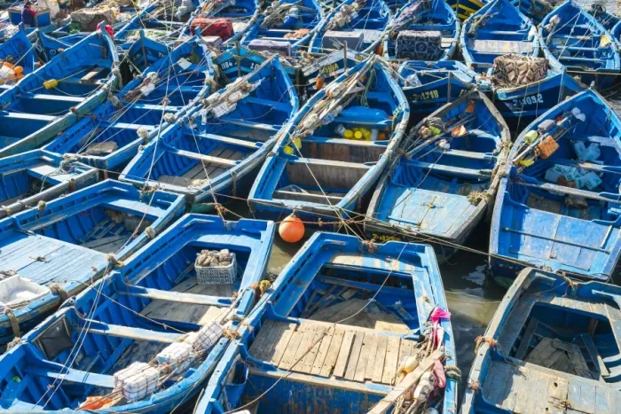 Framed Print : Boats in the fishing port, Essaouira, Marrakesh-Safi region, Morocco, North Africa Framed Print : Boats in the fishing port, Essaouira, Marrakesh-Safi region, Morocco, North Africa