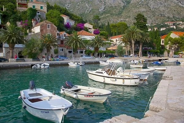 Boats in harbour, Mlini, Dubrovnik Riviera, Dalmatia, Croatia, Europe