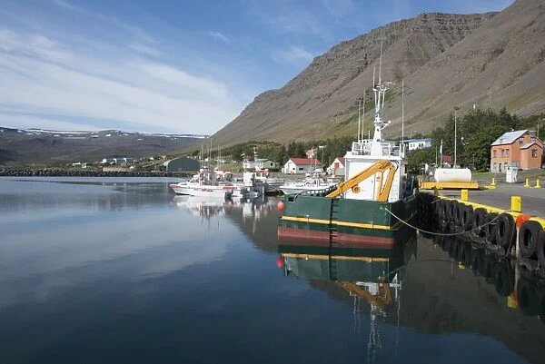 Boats in the harbour at the village of Bildudalur, West Fjords, Iceland, Polar Regions