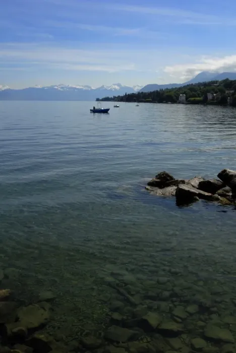 Framed Print : Boats on Lac Leman (Lake Geneva) Framed Print : Boats on Lac Leman (Lake Geneva)