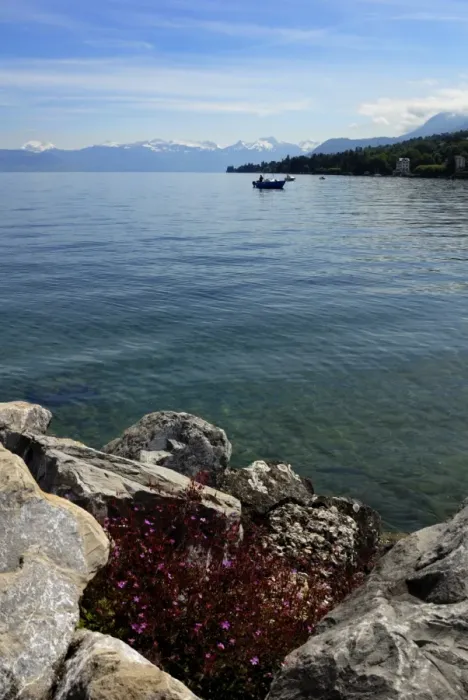 Framed Print : Boats on Lac Leman (Lake Geneva) Framed Print : Boats on Lac Leman (Lake Geneva)