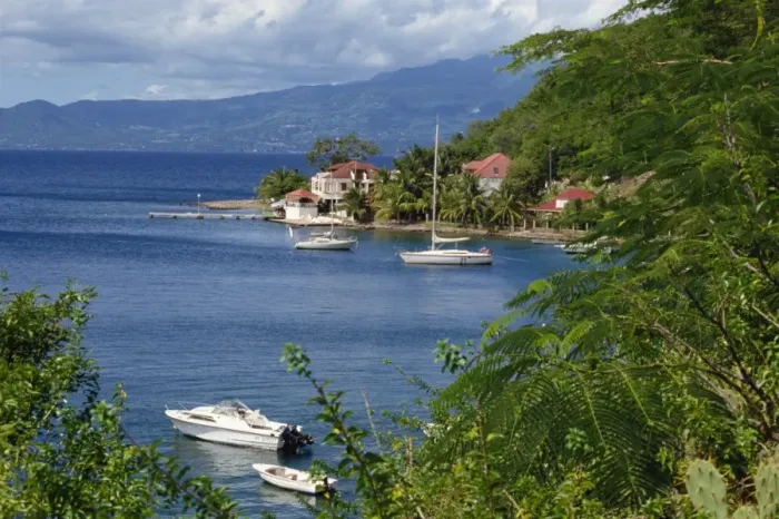 Framed Print : Boats moored in bay at Terre de Haut Framed Print : Boats moored in bay at Terre de Haut