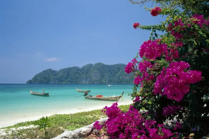 Framed Print : Boats moored off beach of Phi Phi Don Island Framed Print : Boats moored off beach of Phi Phi Don Island