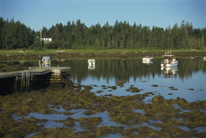 Framed Print : Boats moored in Peggys Cove at low tide, South Shore, Nova Scotia Framed Print : Boats moored in Peggys Cove at low tide, South Shore, Nova Scotia