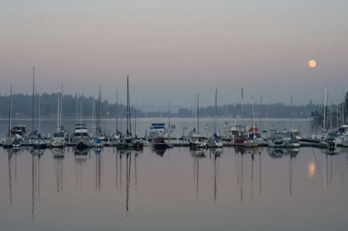 Framed Print : Boats reflect on the Puget Sound waters of Quartermaster at the Burton Marina, Vashon Island, Washington State, United States of America, North America Framed Print : Boats reflect on the Puget Sound waters of Quartermaster at the Burton Marina, Vashon Island, Washington State, United States of America, North America