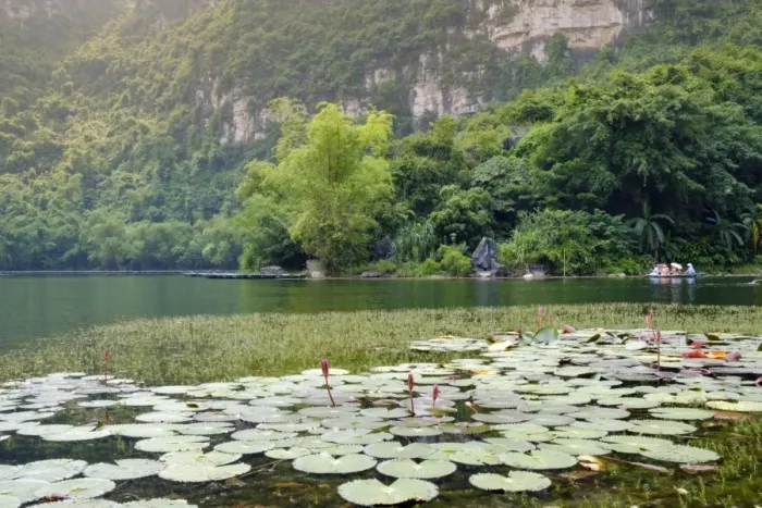 Framed Print : Boats and waterlilies on a river in the karst landscapes of Tam Coc and Trang An Framed Print : Boats and waterlilies on a river in the karst landscapes of Tam Coc and Trang An