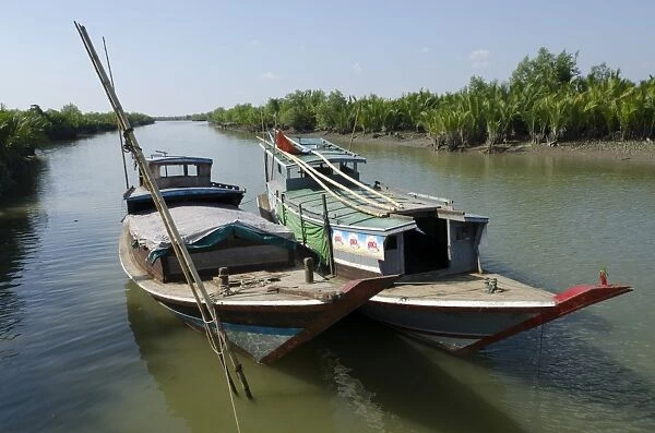 Boats in a waterway with mangrove trees, Irrawaddy Delta, Myanmar (Burma), Asia