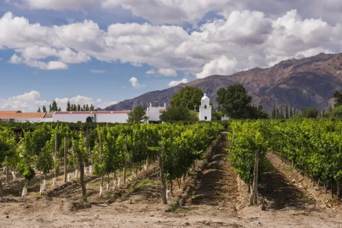 Framed Print : Bodega El Esteco, a winery and vineyard in Cafayate, Salta Province, North Argentina Framed Print : Bodega El Esteco, a winery and vineyard in Cafayate, Salta Province, North Argentina