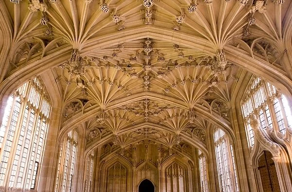 Bodleian Library interior, Oxford University, Oxford, Oxfordshire, England, United Kingdom, Europe