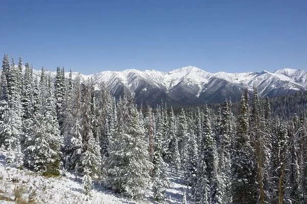 Bolder Mountains in first winter snow, near Galena, Rocky Mountains, Idaho