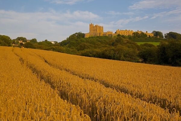Bolsover Castle and corn field at sunset, Bolsover, Derbyshire, England, United Kingdom, Europe