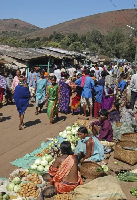 Framed Print : Bonda tribeswomen come down from the hills to sell vegetables in the weekly market in Onukudelli Framed Print : Bonda tribeswomen come down from the hills to sell vegetables in the weekly market in Onukudelli