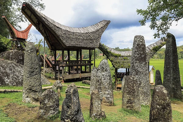 Bori Kalimbuang megalithic burial site with 102 menhirs near Rantepao, Bori, Rantepao, Toraja, South Sulawesi, Indonesia, Southeast Asia, Asia
