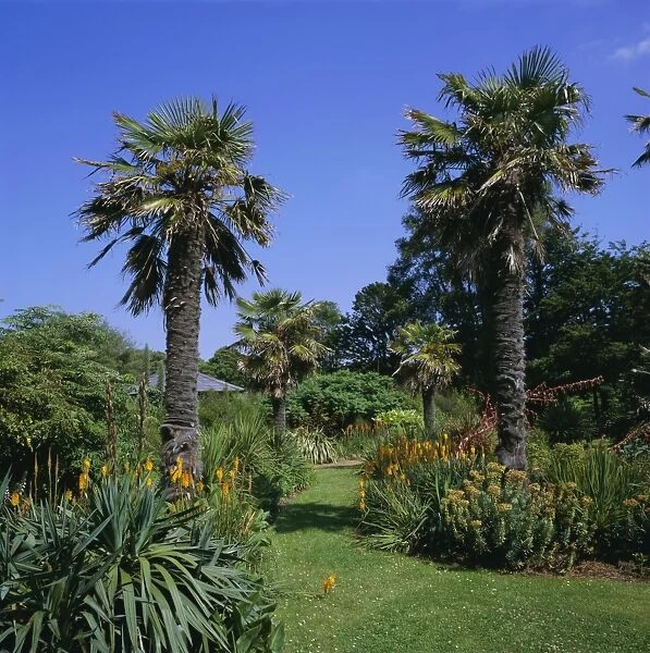Botanic Gardens, Ventnor, Isle of Wight, England, UK, Europe