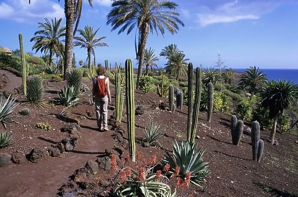 Botanical Garden at Oasis Park, La Lajita, Fuerteventura, Canary Islands, Spain, Atlantic, Europe