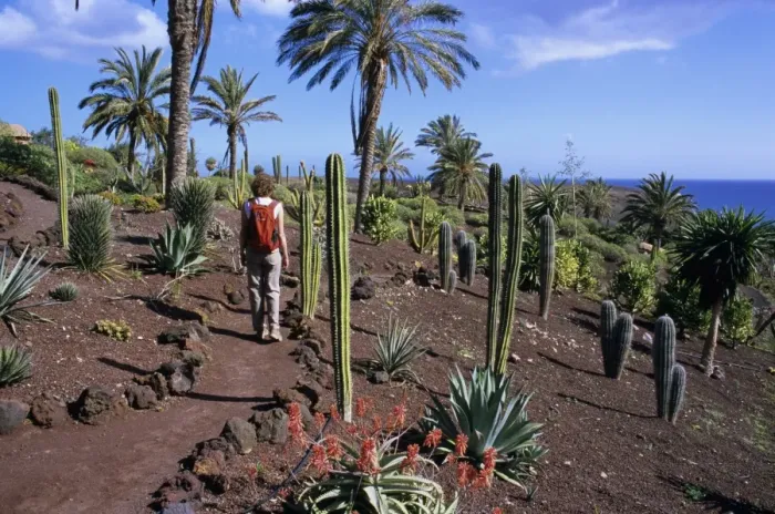 Framed Print : Botanical Garden at Oasis Park, La Lajita, Fuerteventura, Canary Islands, Spain, Atlantic, Europe Framed Print : Botanical Garden at Oasis Park, La Lajita, Fuerteventura, Canary Islands, Spain, Atlantic, Europe