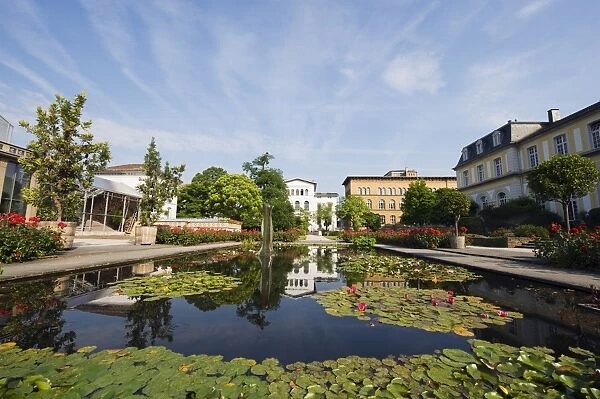 Botanical gardens, Bonn, North Rhineland Westphalia, Germany, Europe