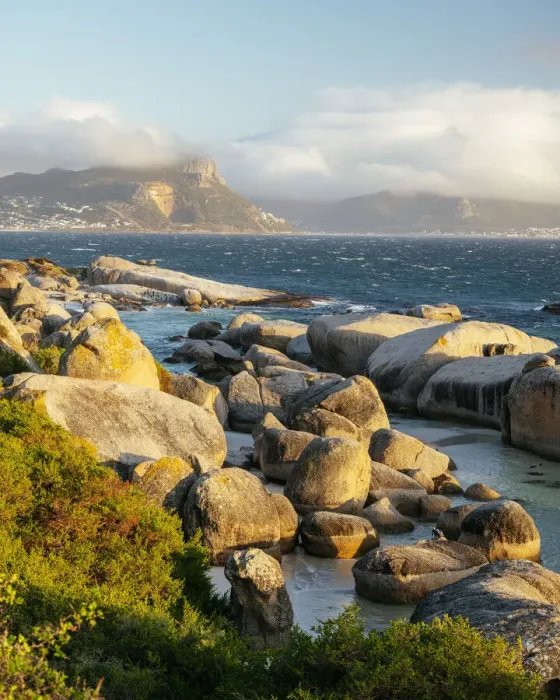Framed Print : Boulders Beach, Cape Town, Western Cape, South Africa, Africa Framed Print : Boulders Beach, Cape Town, Western Cape, South Africa, Africa