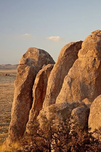 Boulders at sunset, City of Rocks State Park, New Mexico, United States of America