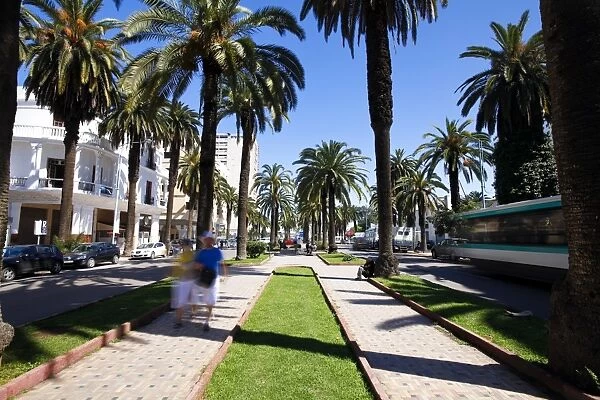 The Boulevard de Rachidi, a typical wide tree lined street in the smart Lusitania district, Casablanca, Morocco, North Africa, Africa