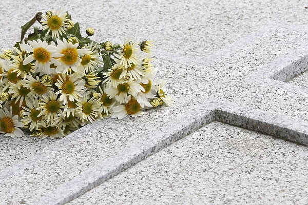 Bouquet of daisies on a tombstone, Paris, France, Europe
