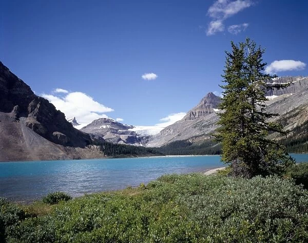 Bow Lake with Bow Glacier behind, Icefields Parkway, Banff National Park