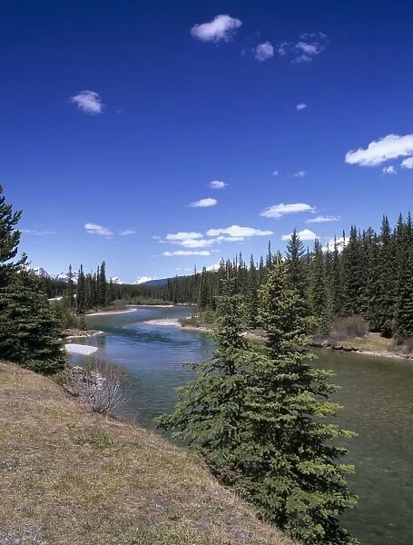 Bow River at Mount Temple viewpoint on the Trans-Canada Highway, Banff National Park