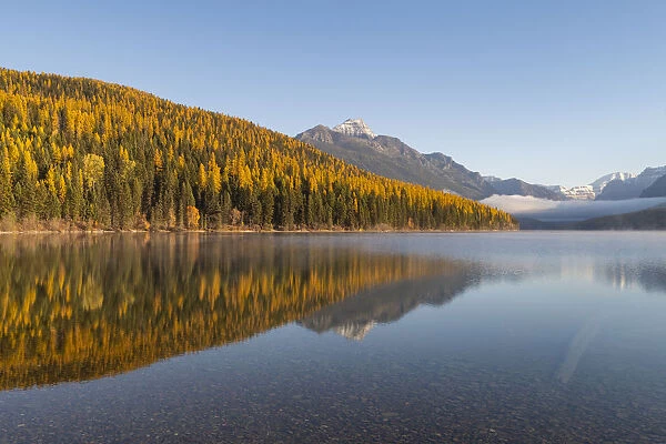 Bowman Lake, Glacier National Park, Montana, United States of America, North America