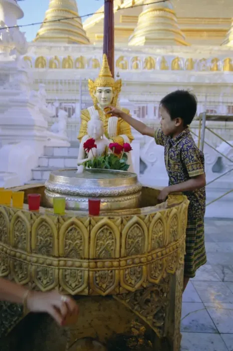 Framed Print : A boy places offerings to the Buddha, Shwedagon Paya (Shwe Dagon pagoda) Framed Print : A boy places offerings to the Buddha, Shwedagon Paya (Shwe Dagon pagoda)