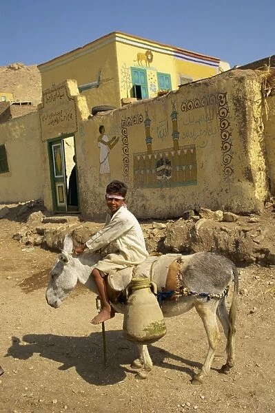Boy transporting water on donkey, Egypt, North Africa, Africa