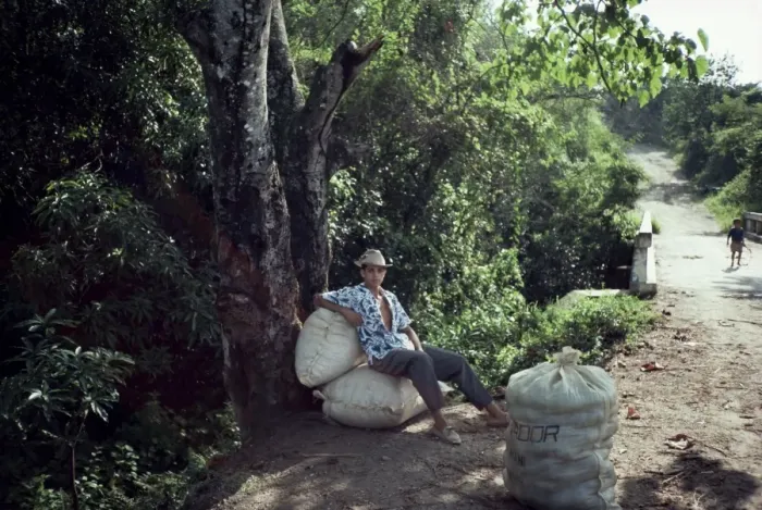 Framed Print : Boy waits along roadside with bags of peanuts, on the outskirts of El Cadillar