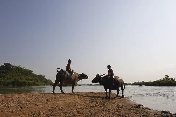 Two boys on water buffalo beside the Mekong river, near Kratie, eastern Cambodia