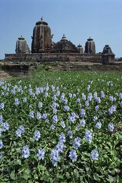 Brahmeswar temple, Bhubaneswar, Orissa state, India, Asia
