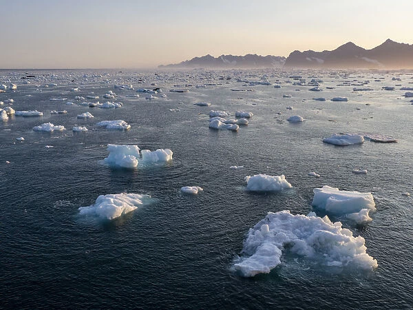 Brash ice off the east coast of Greenland, Polar Regions