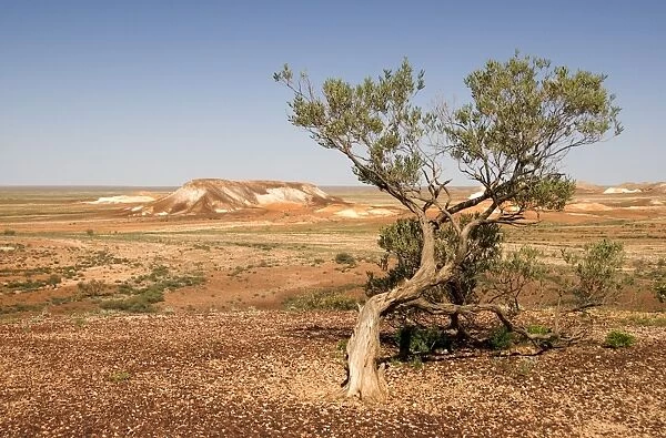 The Breakaways, Painted Desert, Coober Peedy, South Australia, Australia, Pacific